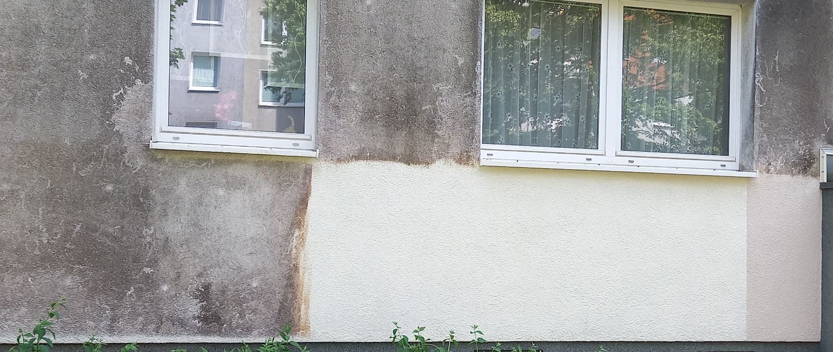 Schimmel entfernen von Fassaden